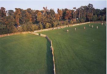Effet graphique au Bois de Vincennes.