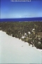 2006-kap-polynesie-A34Maupiti * 413 x 617 * (45KB)